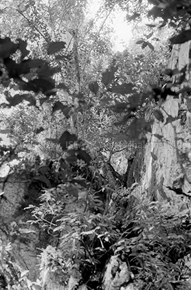 RH_020_001_0020 - Untitled