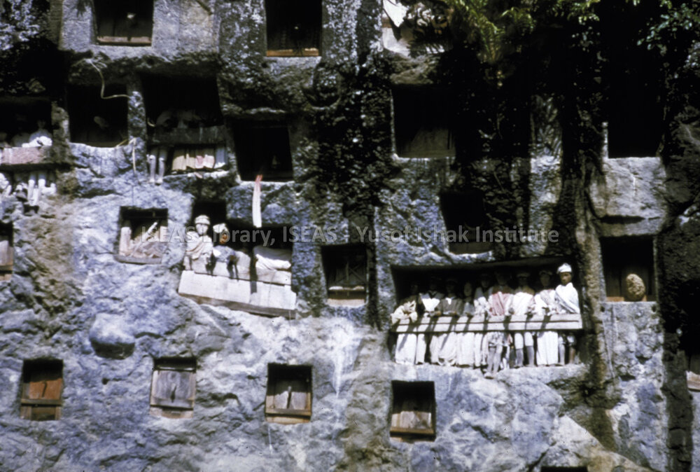 DP102_19 - A view of tau tau (wooden effigies) standing on balconies in limestone cliffs, Lemo, Toraja, Indonesia