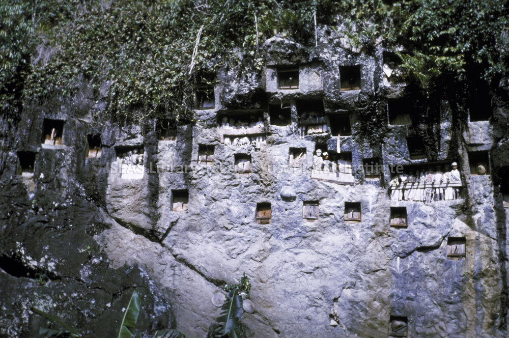 DP102_22 - A view of the stone graves in cliffsides with tau tau (wooden effigies) and wooden doors, Lemo, Toraja, Indonesai