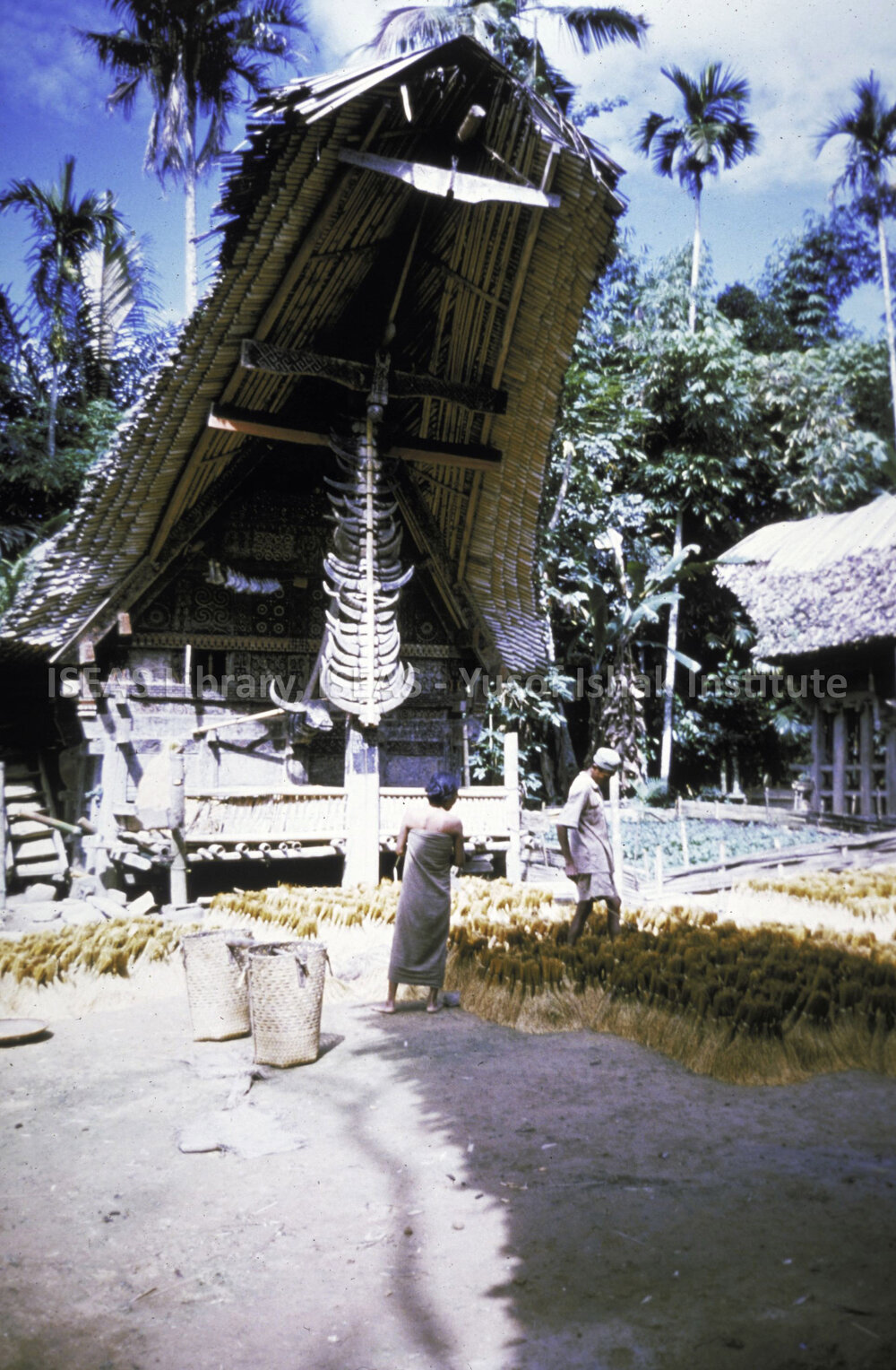DP102_31 - A view of the facade of a tongkonan (ancestral house) in Palawa, Toraja, Indonesia.