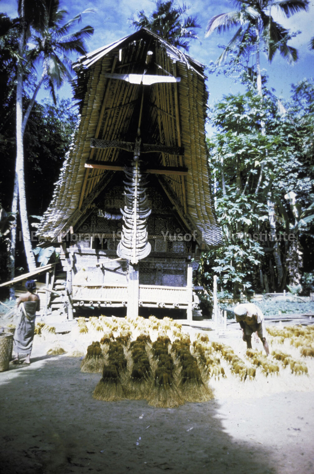 DP102_32 - A view of the facade of a tongkonan (ancestral house) in Palawa, Toraja, Indonesia.