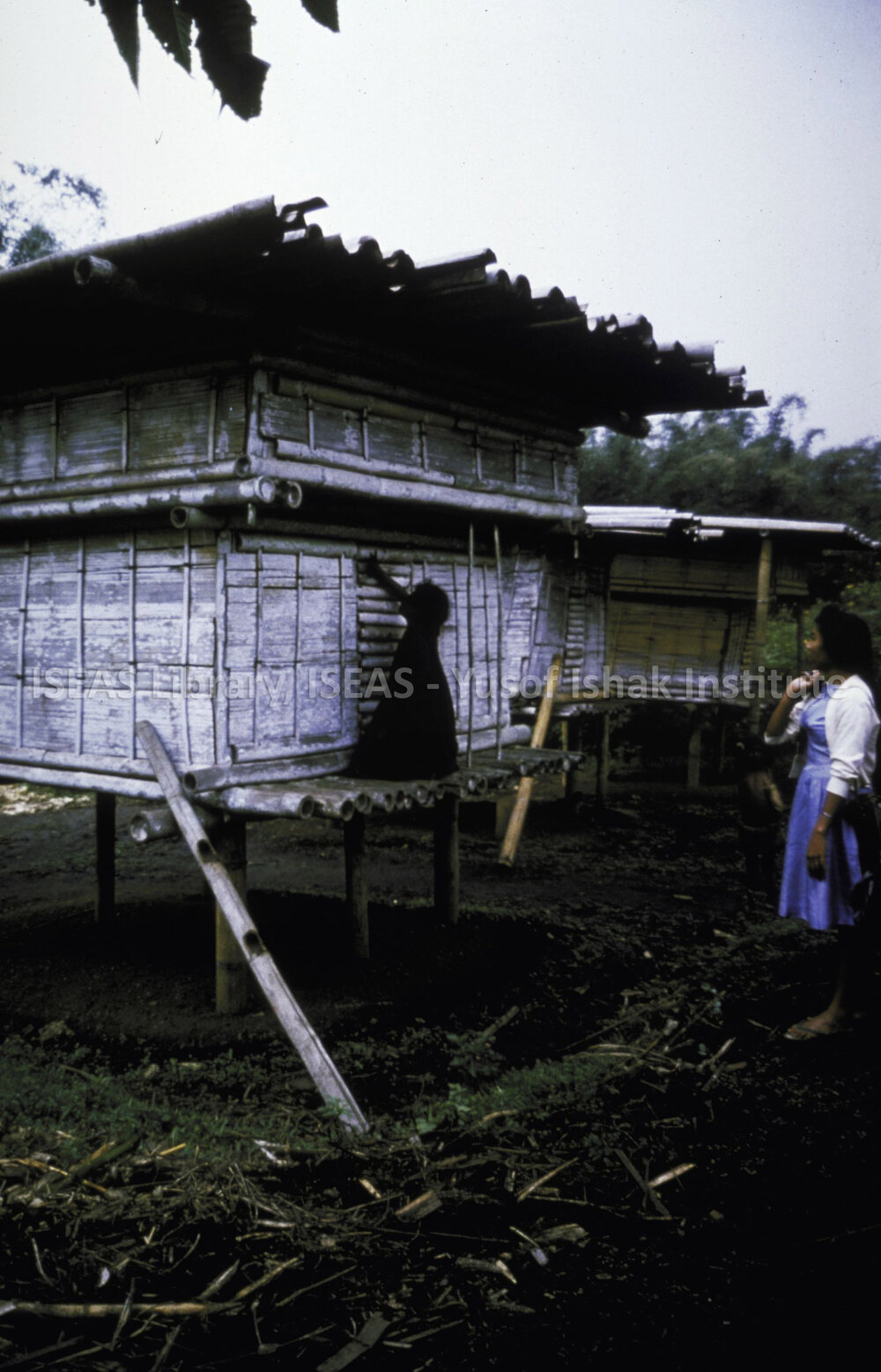 DP108_04 - A close-up of lumbung (rice barn) in a village in Bajawa, Flores, Indonesia