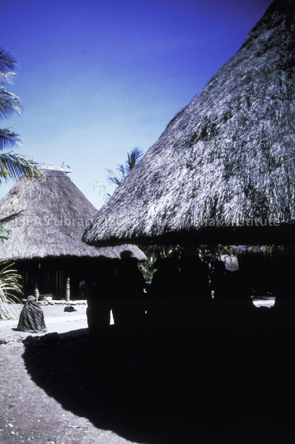 DP112_33 - A view of Atoni houses on the road to Kefamenanu, Timor, Indonesia.