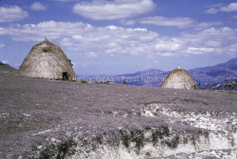 DP113_11 - A view of Atoni houses on the road to Soe,Timor, Indonesia.