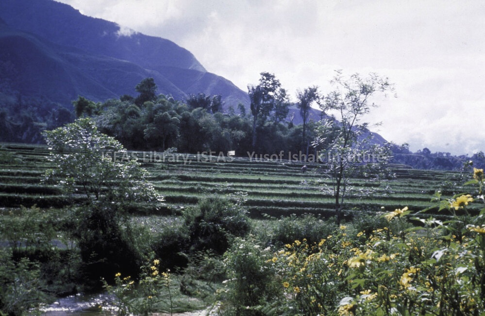 DP121_13 - A view of a huta (Toba-Batak village) near Balige, Sumatra, Indonesia