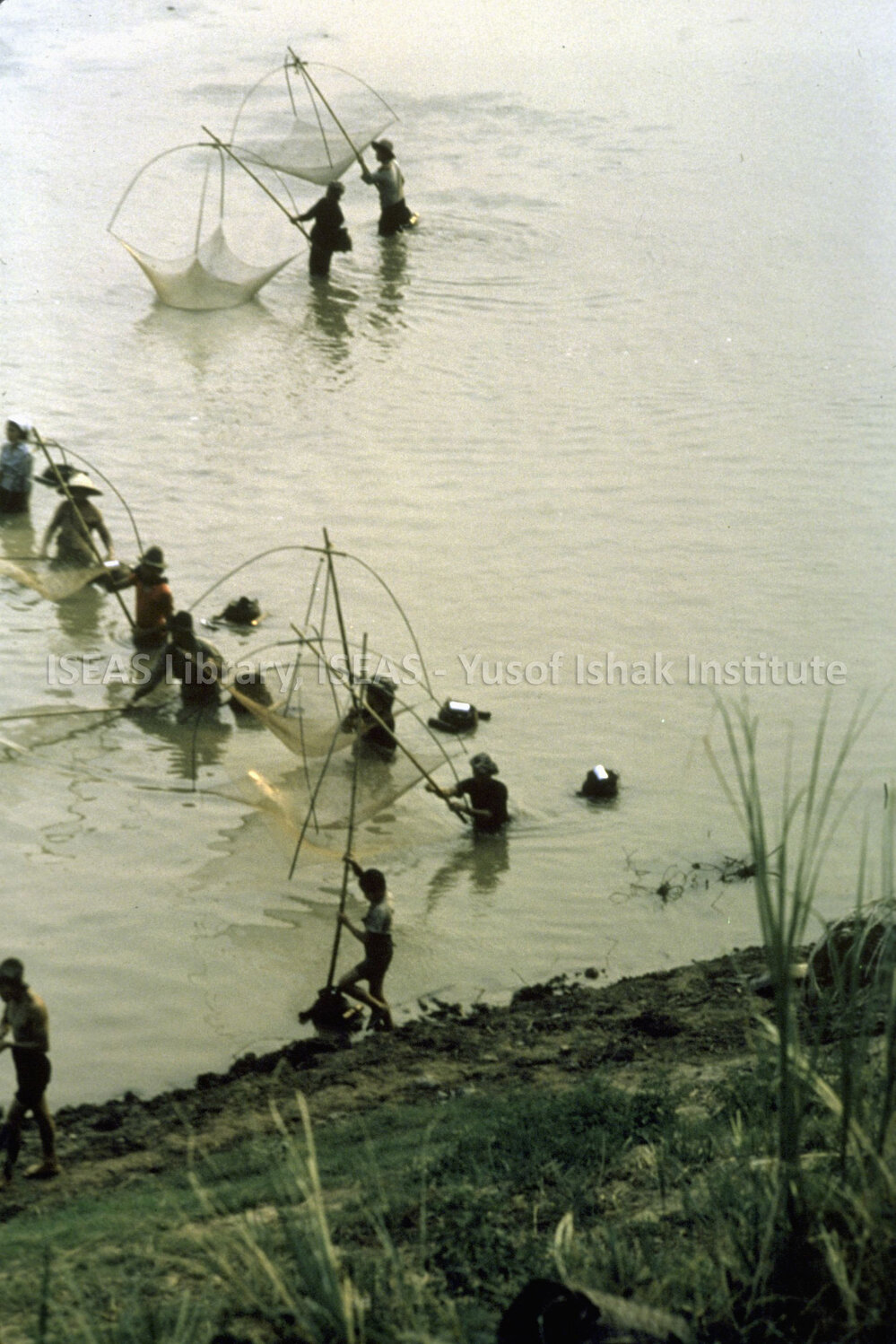DP26_09 - A bird's eye view of fishing.