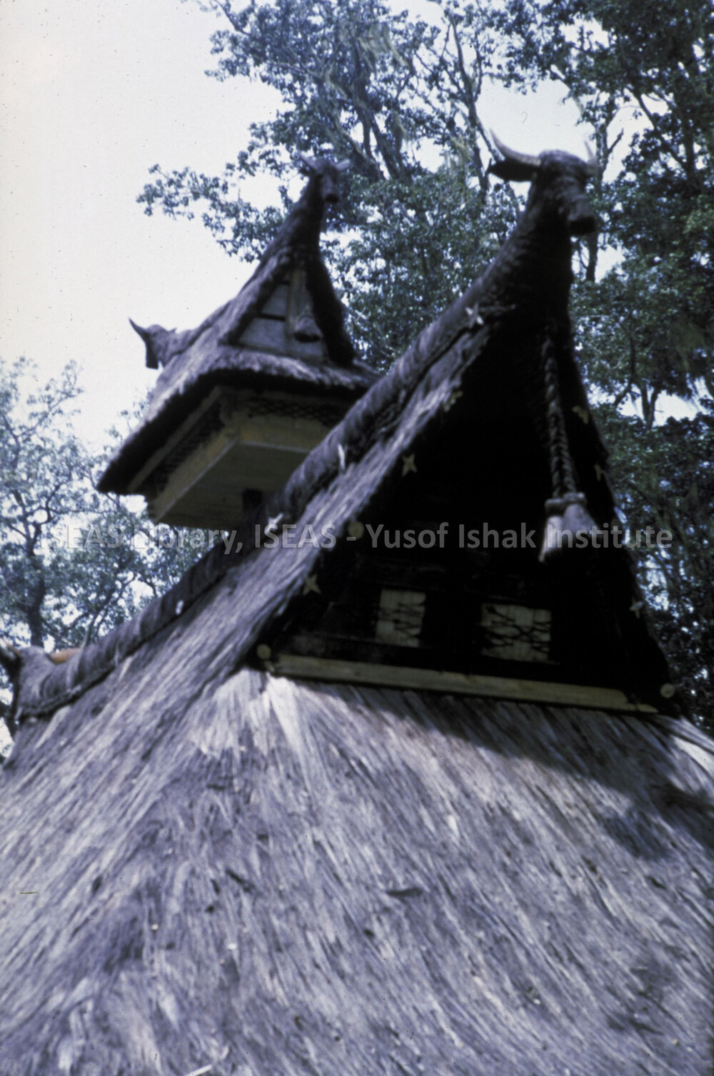 DP57_22 - A detail of a house roof, Simalungun, Sumatra, Indonesia