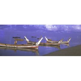 Images from the Ivan Polunin Collection