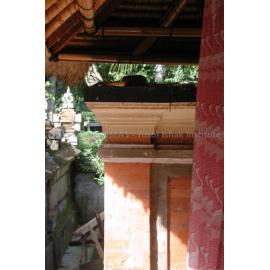 Bangli_250701_DSCN3273