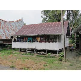 Batak_241211_IMG_8310