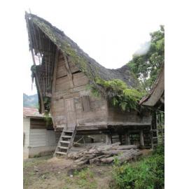 Batak_241211_IMG_8316