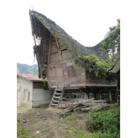Batak_241211_IMG_8317