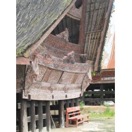 Batak_241211_IMG_8338