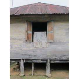 Batak_241211_IMG_8344