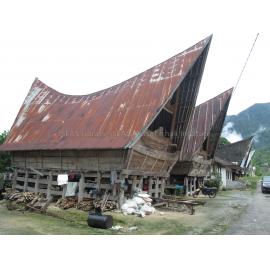 Batak_241211_IMG_8353