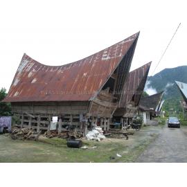 Batak_241211_IMG_8354