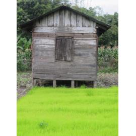 Batak_241211_IMG_8410