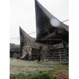 Batak_251211_IMG_8520