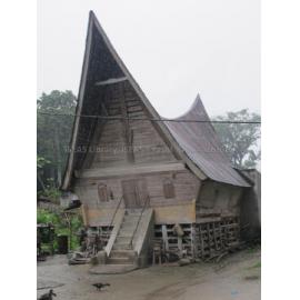 Batak_251211_IMG_8534
