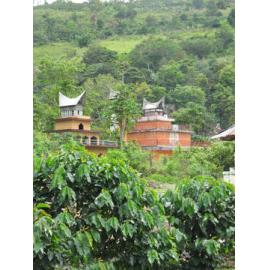 Batak_261211_IMG_8722
