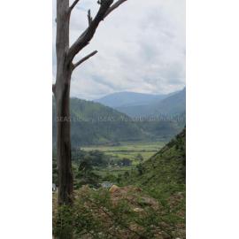 Batak_261211_IMG_8831