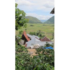 Batak_261211_IMG_8851
