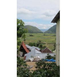 Batak_261211_IMG_8853