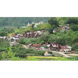 Batak_261211_IMG_8923