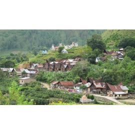 Batak_261211_IMG_8924