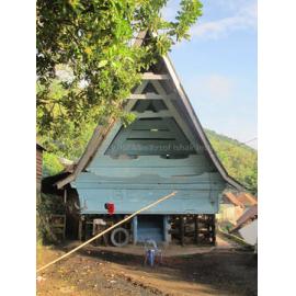 Batak_271211_IMG_9085