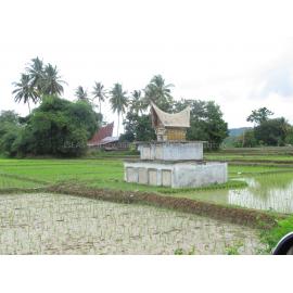Batak_271211_IMG_9124