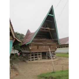 Batak_271211_IMG_9141