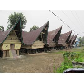Batak_271211_IMG_9175