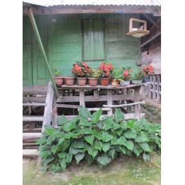 Batak_271211_IMG_9212