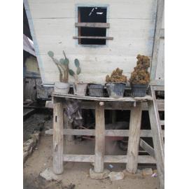 Batak_271211_IMG_9263