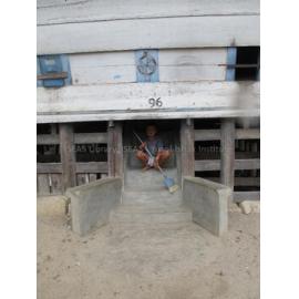 Batak_271211_IMG_9289