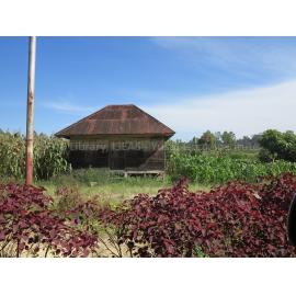 Pulau Nias_030716_IMG_6923