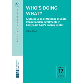 TRS24_17 - Who’s Doing What? A Closer Look at Methane Climate Impact and Commitments in Southeast Asia’s Energy Sector