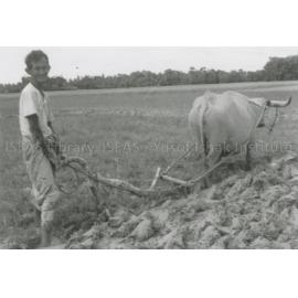 RH_070_001_0007 - Trengganu Agriculture