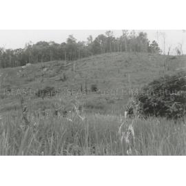 RH_070_001_0009 - Trengganu Agriculture