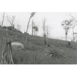 RH_070_001_0010 - Trengganu Agriculture