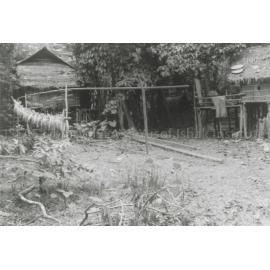 RH_070_001_0015 - Trengganu Agriculture