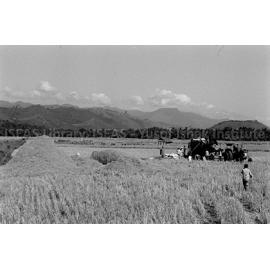 RH_074_001_0012 - Philippines