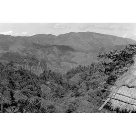 RH_074_001_0019 - Philippines