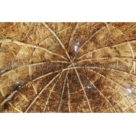 Jabalpur_040708_DSC_0088