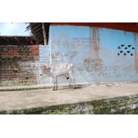 Jabalpur_050708_DSC_0266