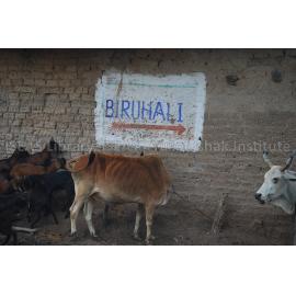 Jabalpur_050708_DSC_0282