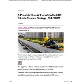 2025/010 - A Possible Blueprint for ASEAN’s 2025 Climate Finance Strategy