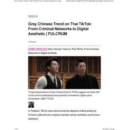 2025/102 - Grey Chinese Trend on Thai TikTok: From Criminal Networks to Digital Aesthetic